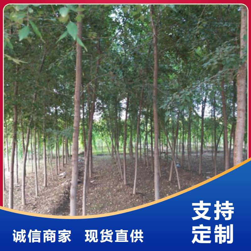 榆树厂家-合作共赢厂家销售