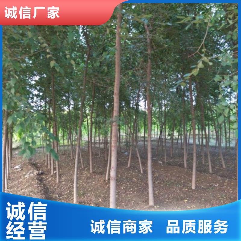 榆树精选厂家本地经销商
