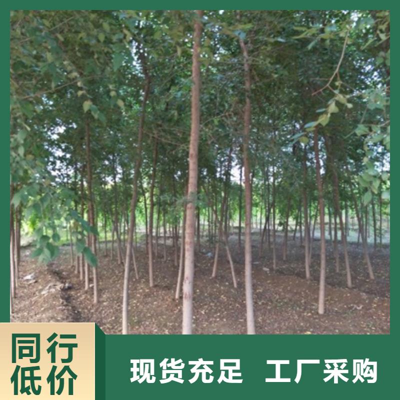 榆树厂家地址按需定制