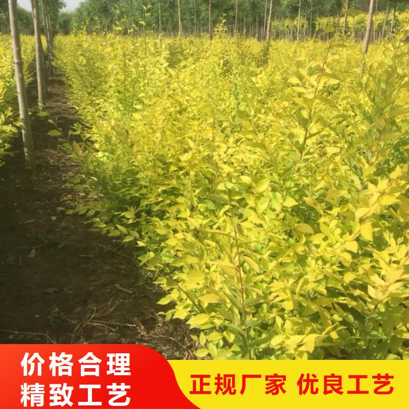 买的放心-榆树厂家当地公司