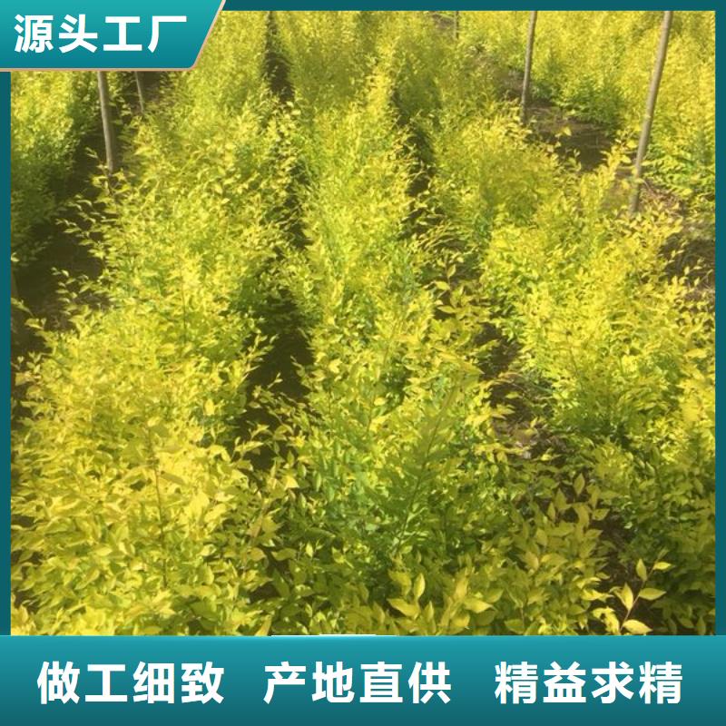 信誉好的榆树厂家同城生产厂家