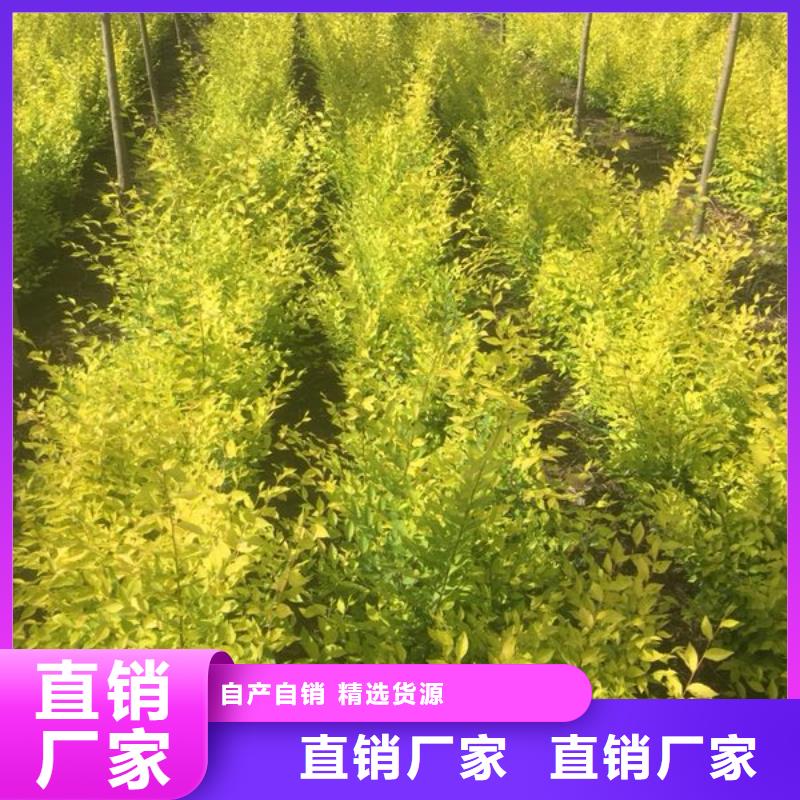 榆树厂商