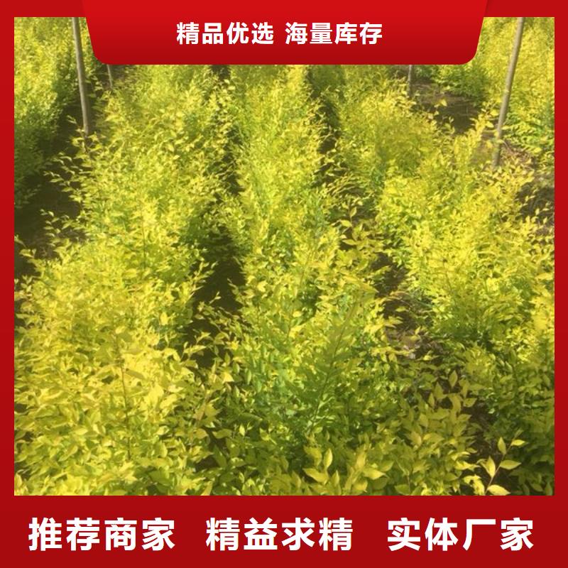 ：榆树供货商品质过硬
