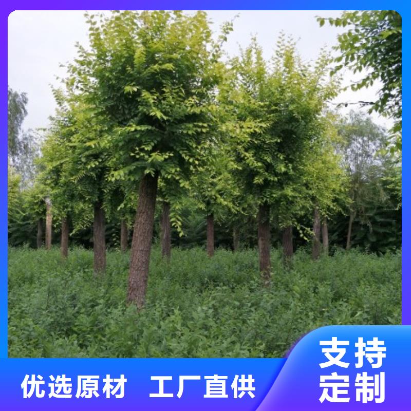 榆树全国送货上门