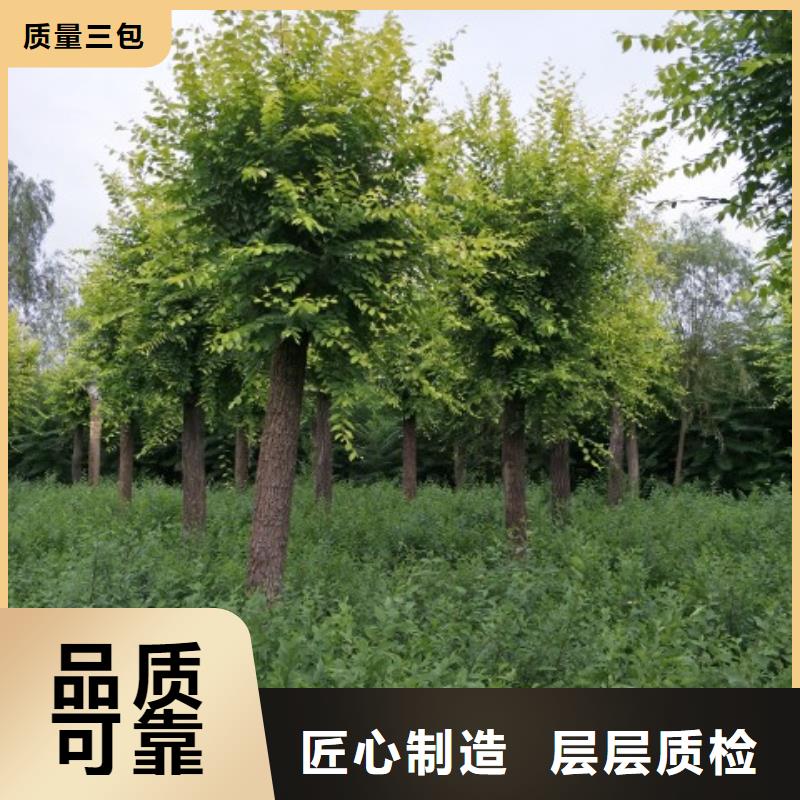 榆树现货销售好产品放心购