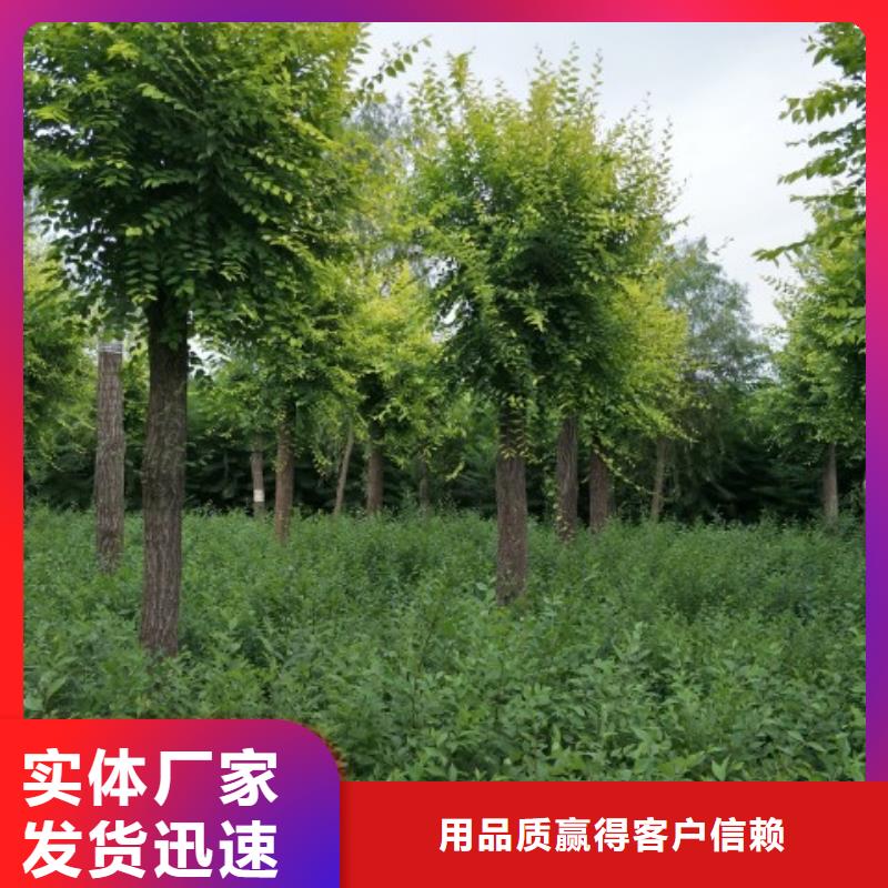 榆树销往全国同城货源