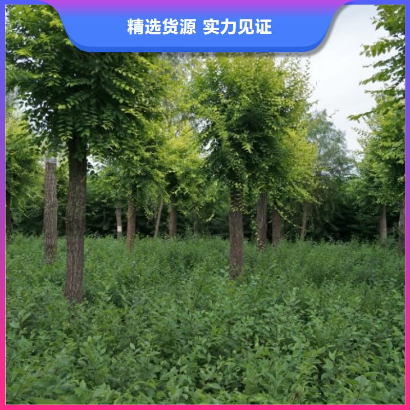 找榆树厂家实时报价