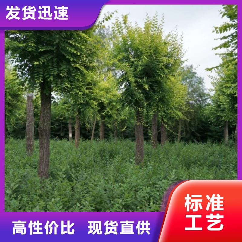榆树品牌-报价