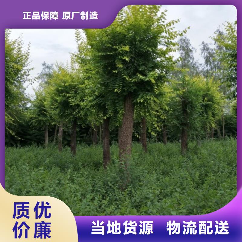 采购榆树必看-售后保证同城服务商
