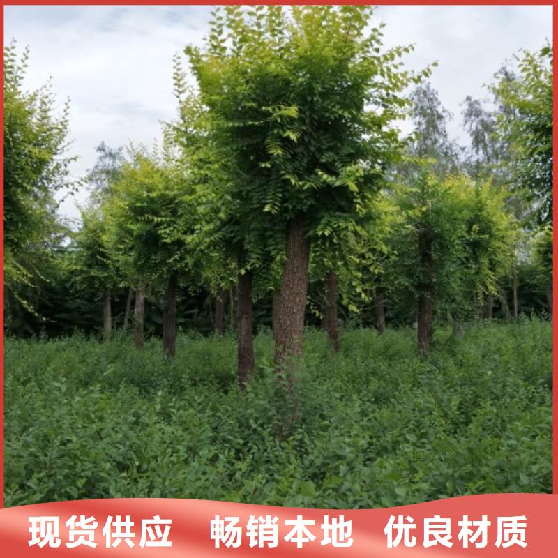榆树承接公司