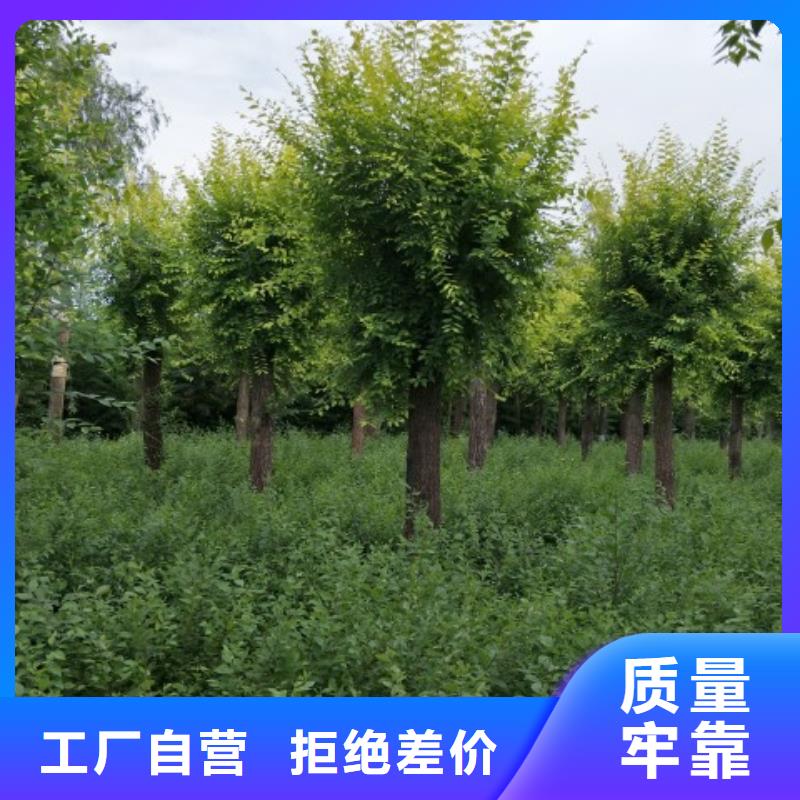 榆树现货批发同城服务商
