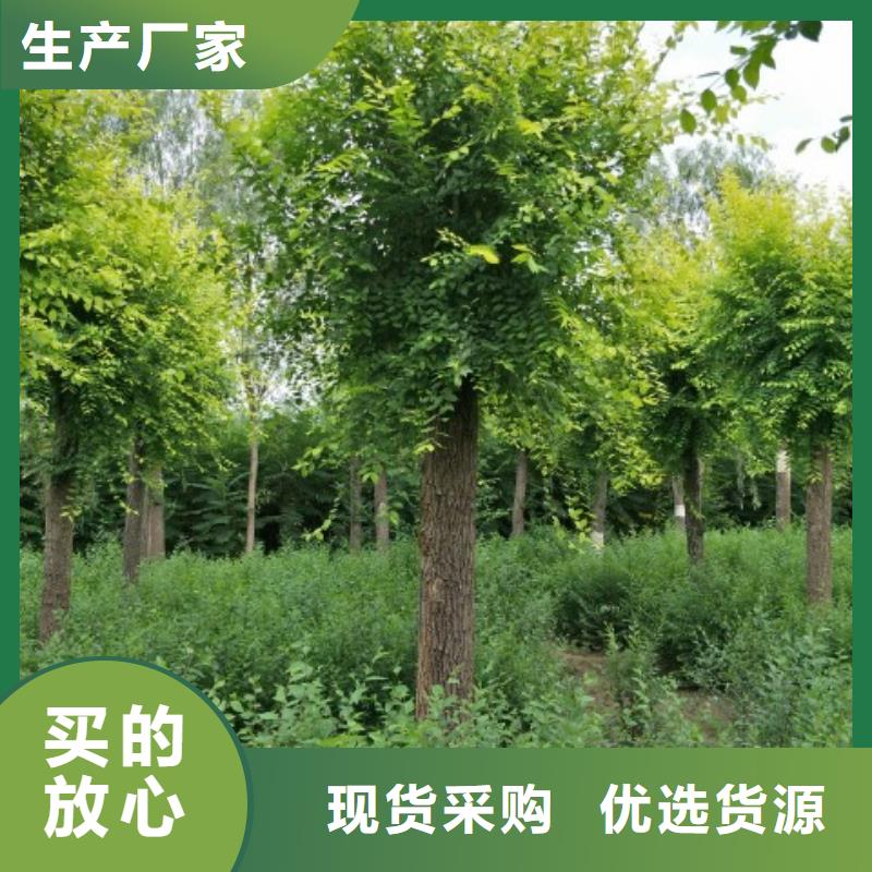 榆树加工货源稳定