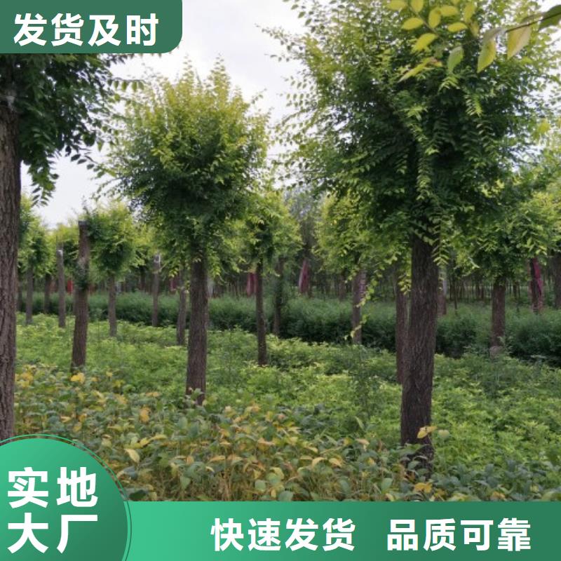 榆树厂家-专心做产品