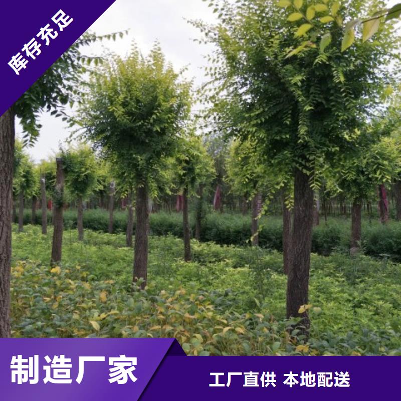 值得信赖的榆树公司有实力有经验