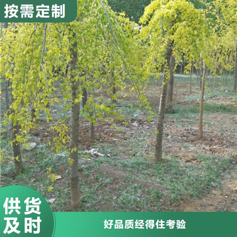 #榆树厂家当地厂家