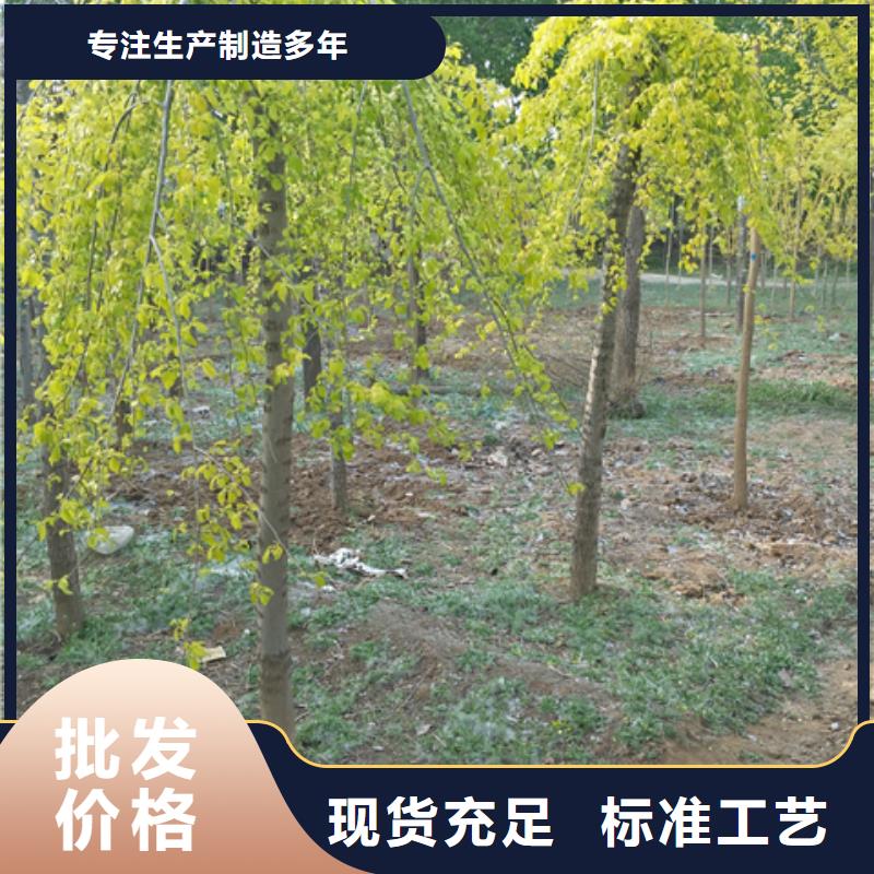 榆树大品牌口碑优