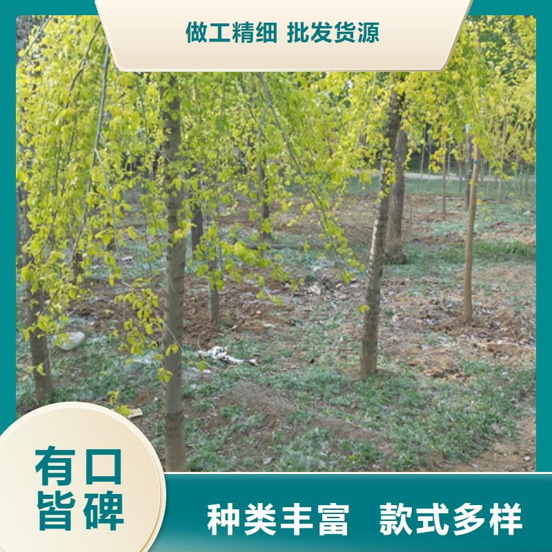 榆树用专业让客户省心