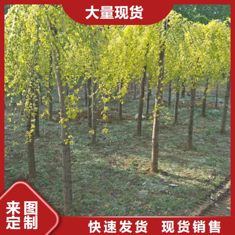 榆树实力厂家，让您放心本地生产商