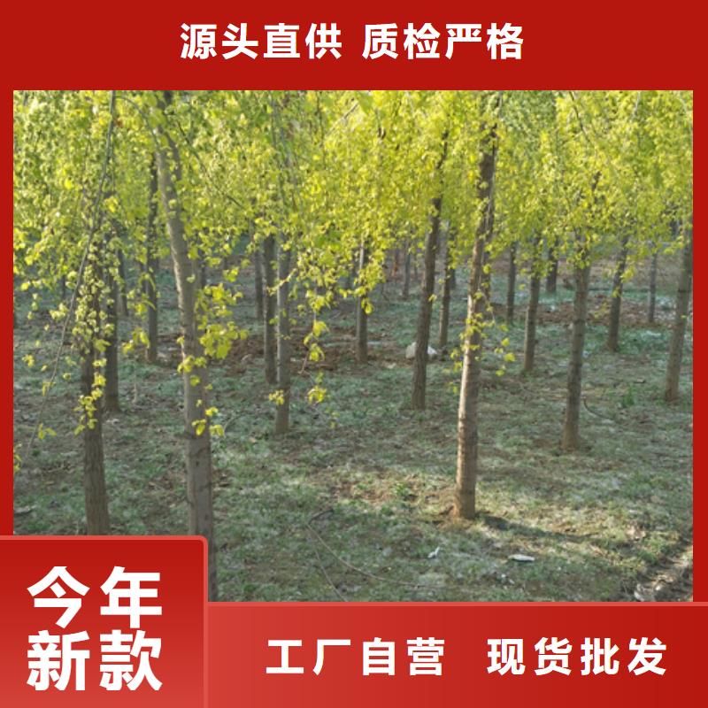 有现货的榆树品牌厂家精心