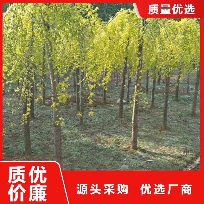 2025品质过硬#榆树厂家#解决方案