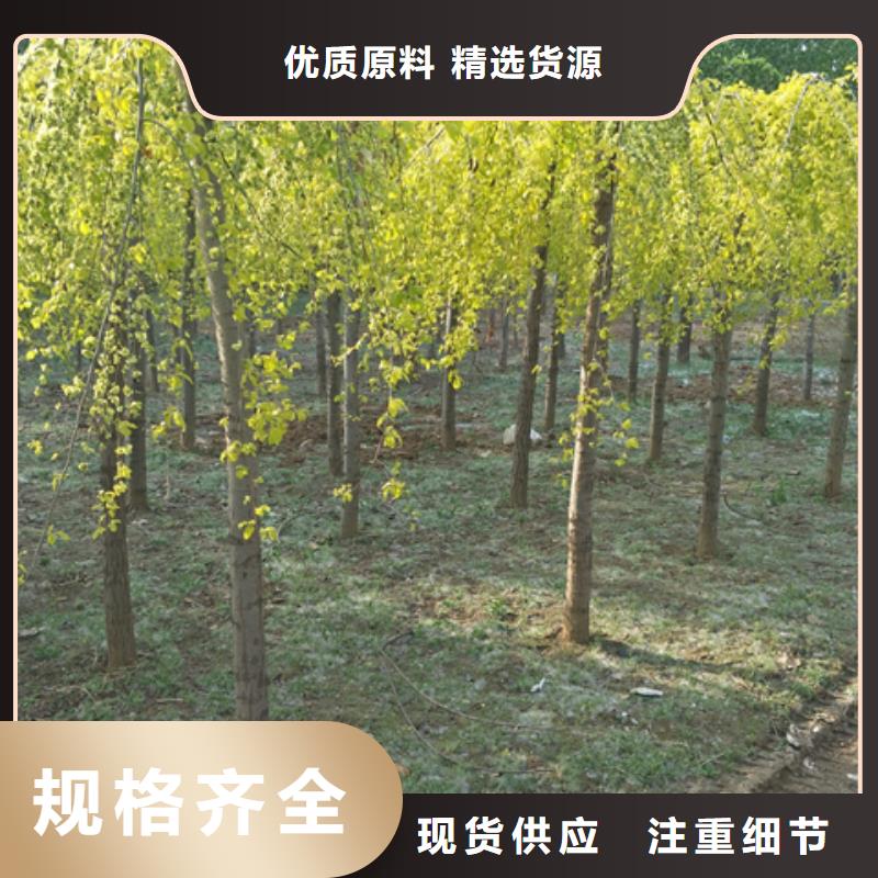 榆树厂家-专心做产品
