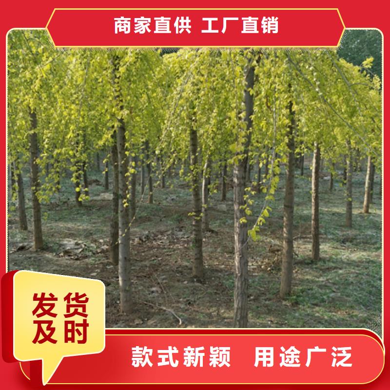 质量合格的榆树厂家