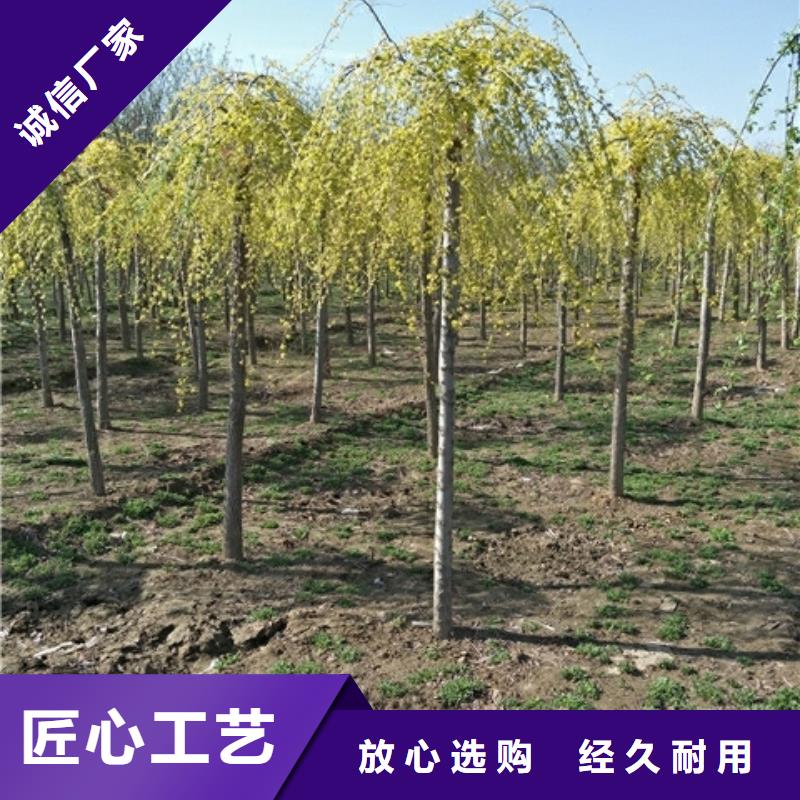 榆树可在线咨询价格同城厂家