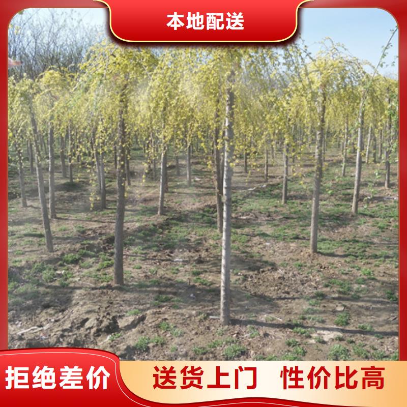 资讯：榆树生产厂家拒绝差价