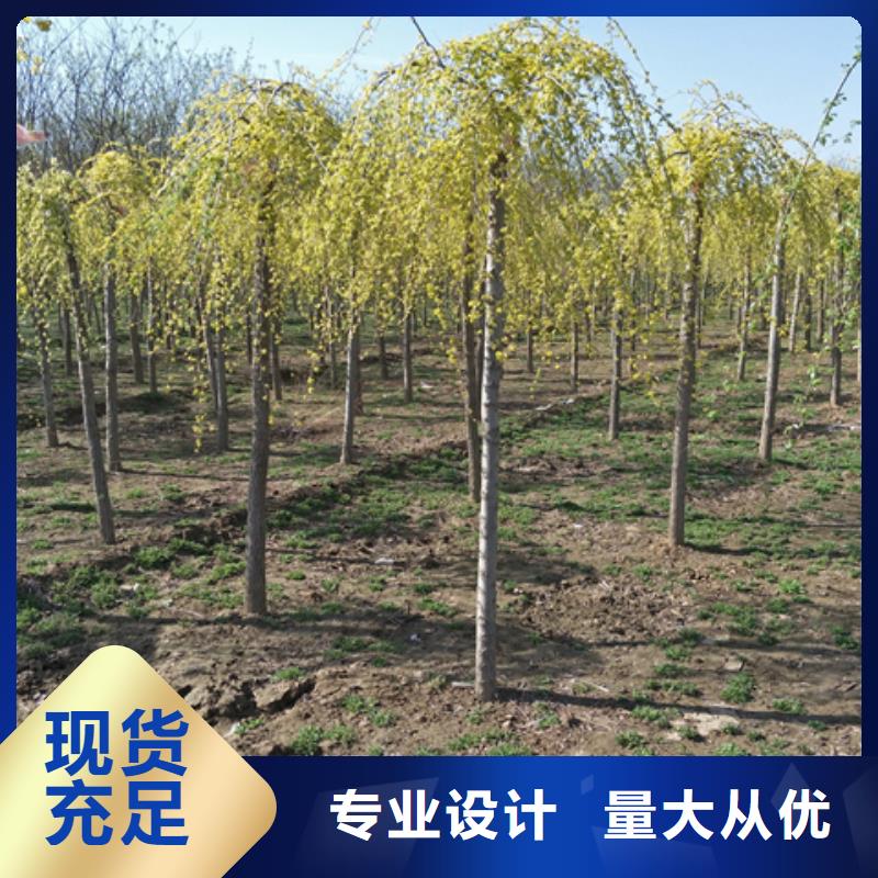 质量合格的榆树厂家