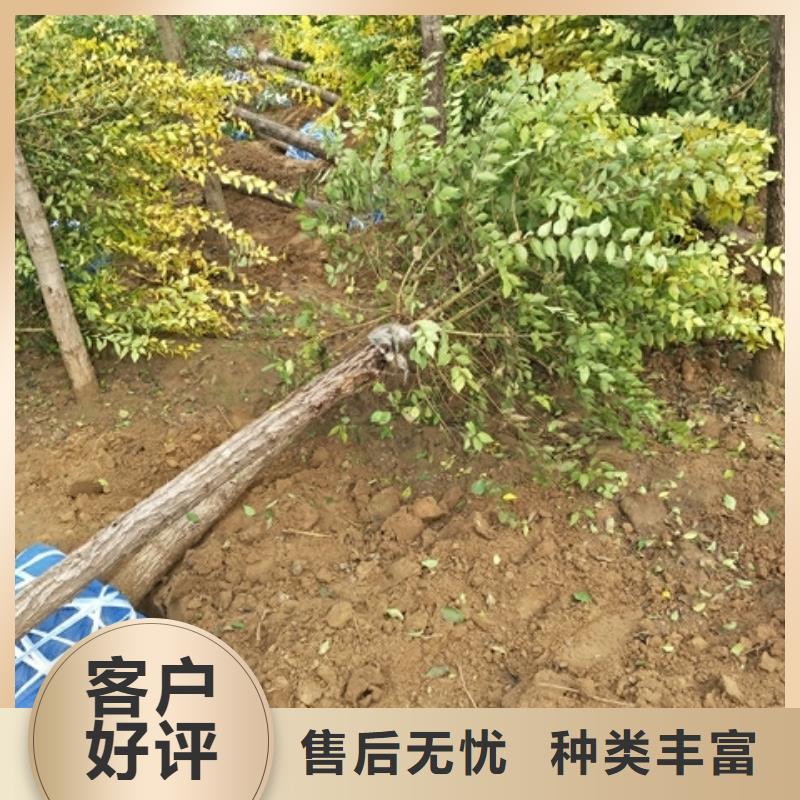 榆树欢迎来厂考察厂家大量现货