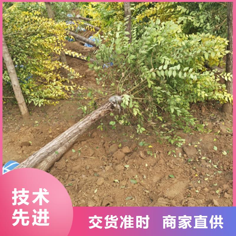 榆树认准实力工厂
