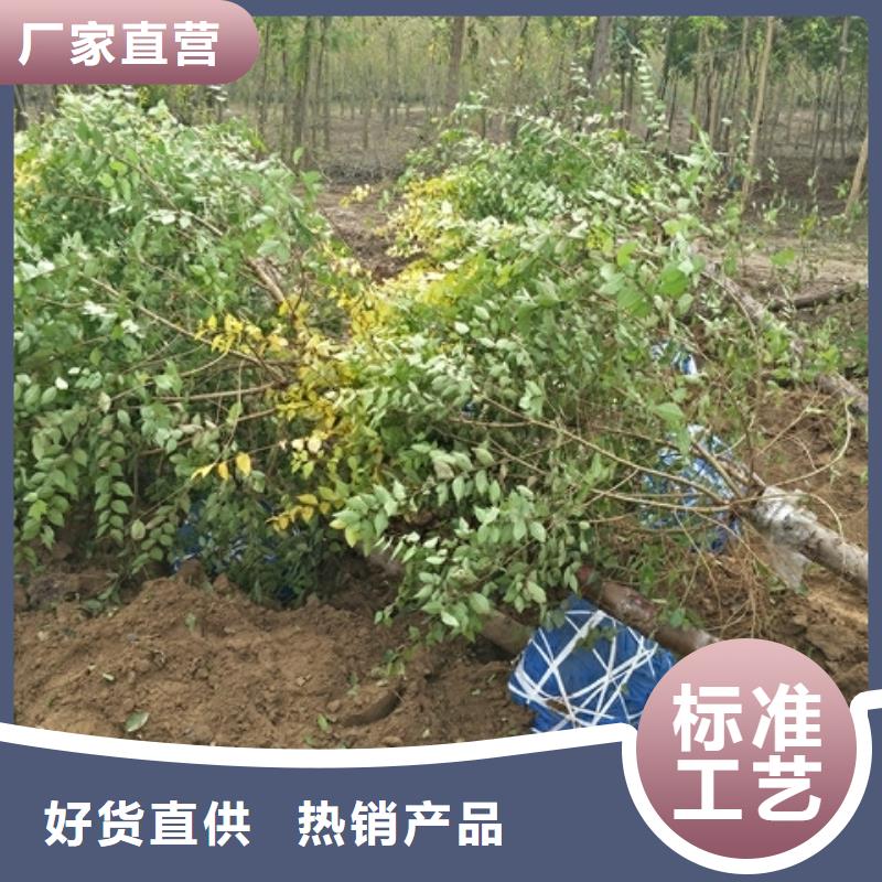 榆树实力雄厚