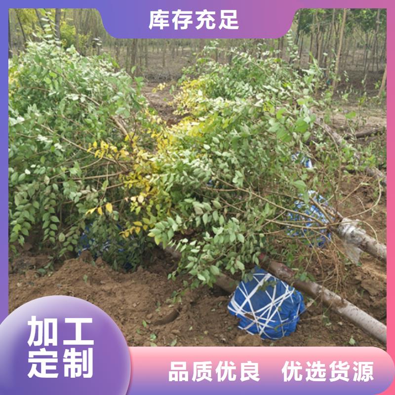 榆树-榆树口碑好