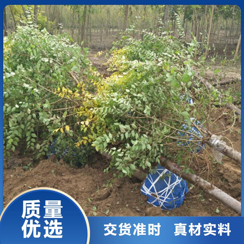 榆树承接公司