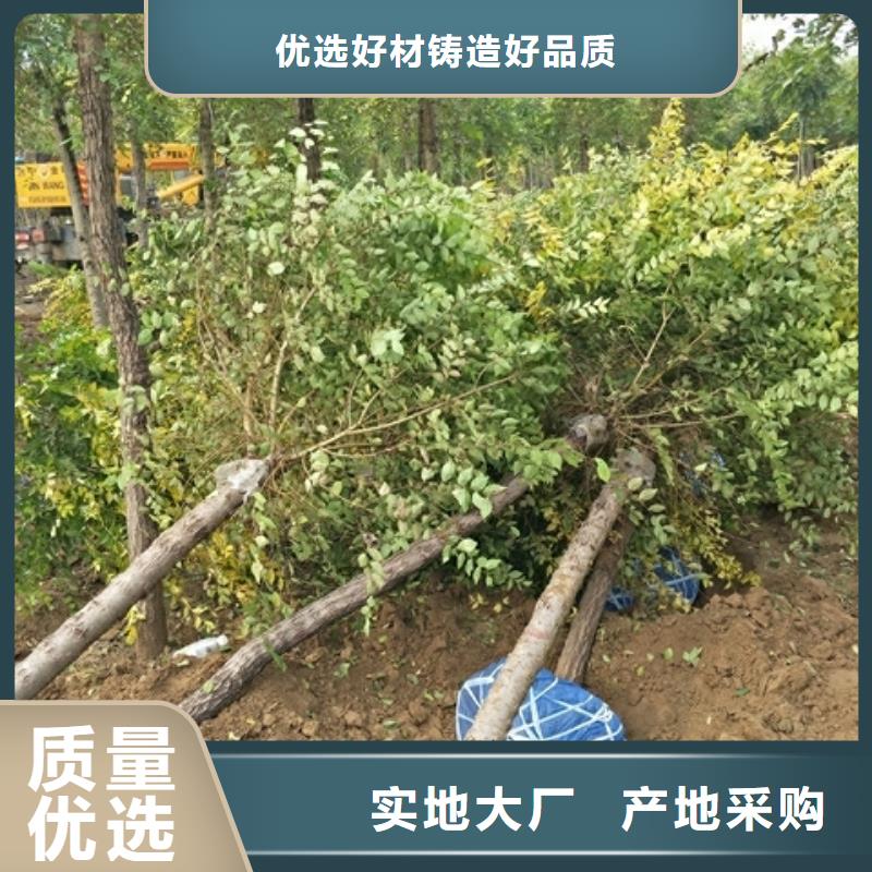 榆树量大价优本地制造商