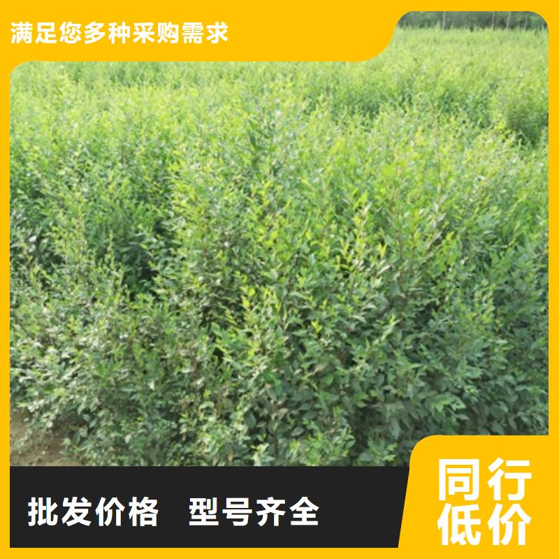 榆树欢迎咨询订购