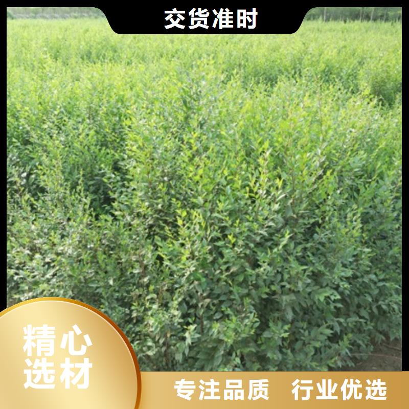 有现货的榆树品牌厂家