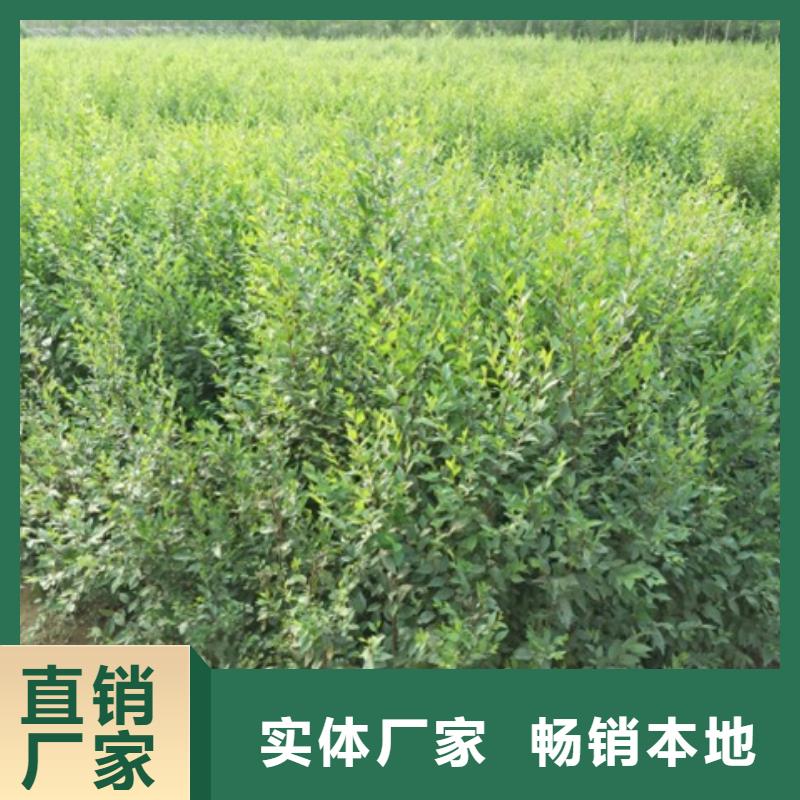 榆树用户喜爱厂家优势