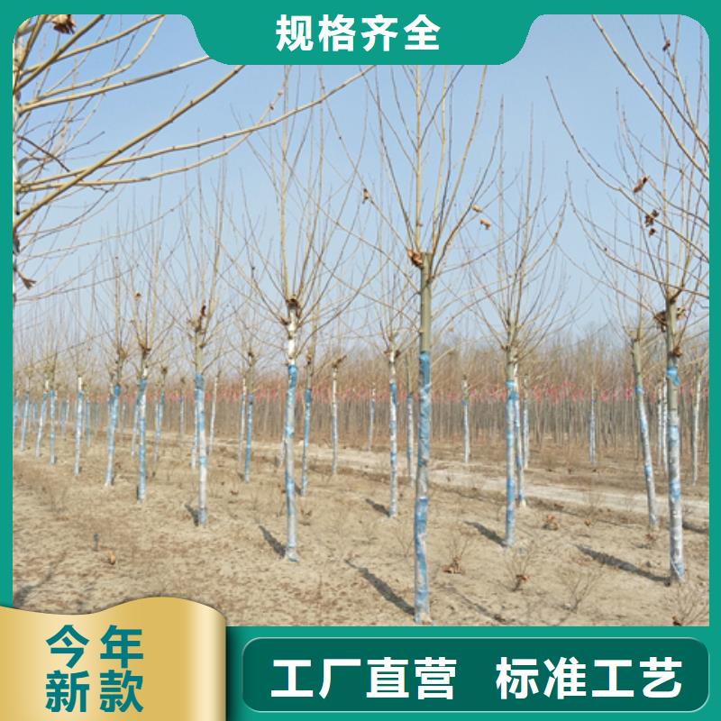 法桐企业-可接大单