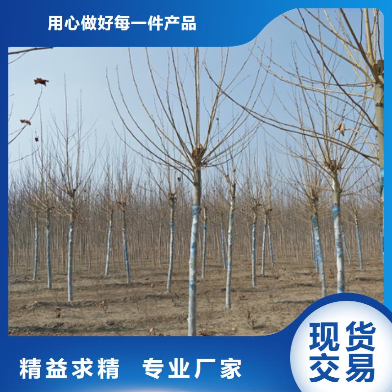 采购法桐必看-售后保证