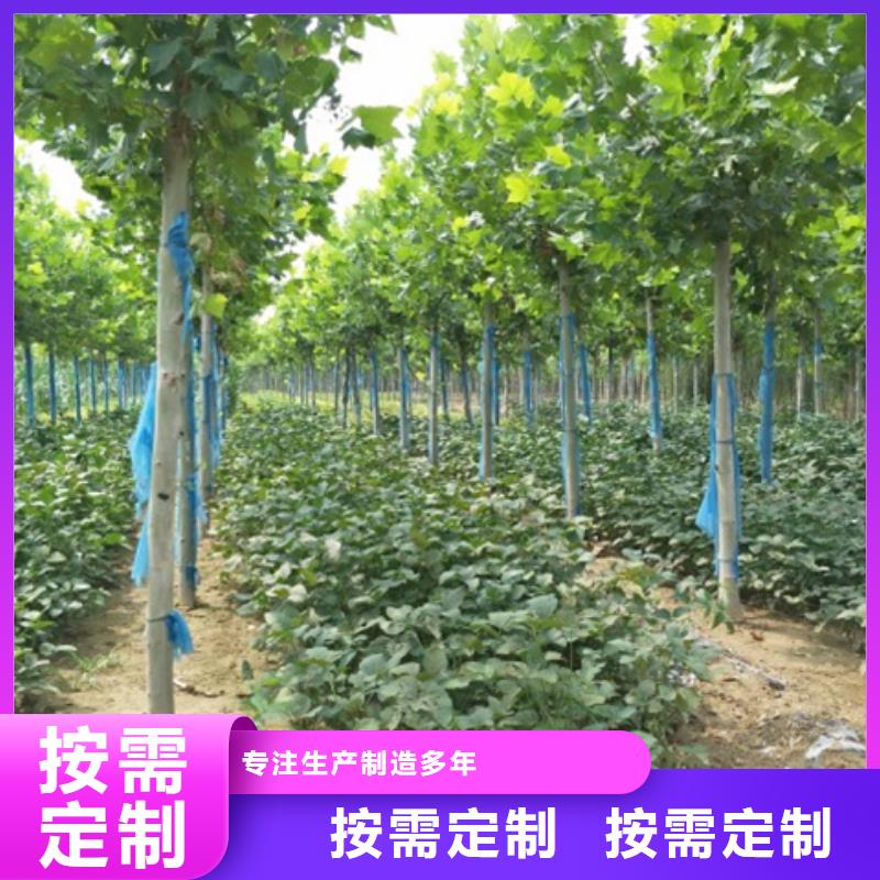 法桐获取报价