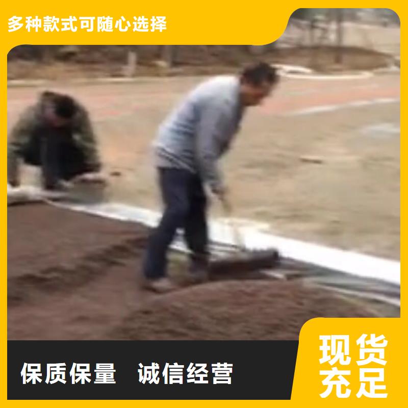 透水优选品质厂家