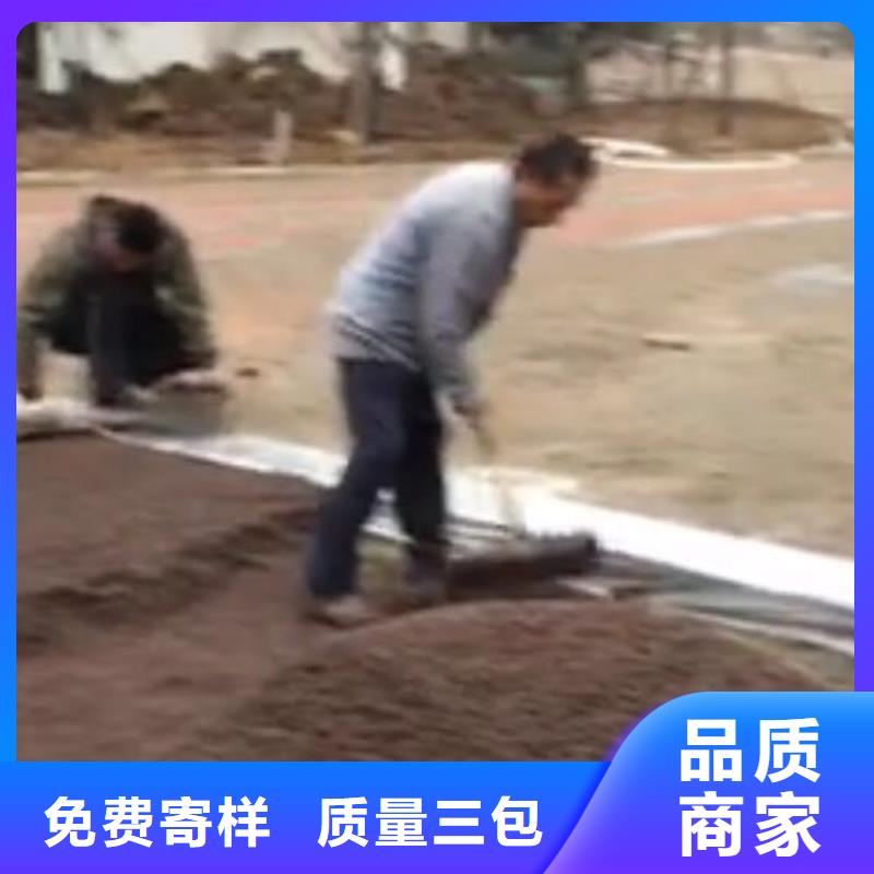 价格合理的6.27编辑经销商