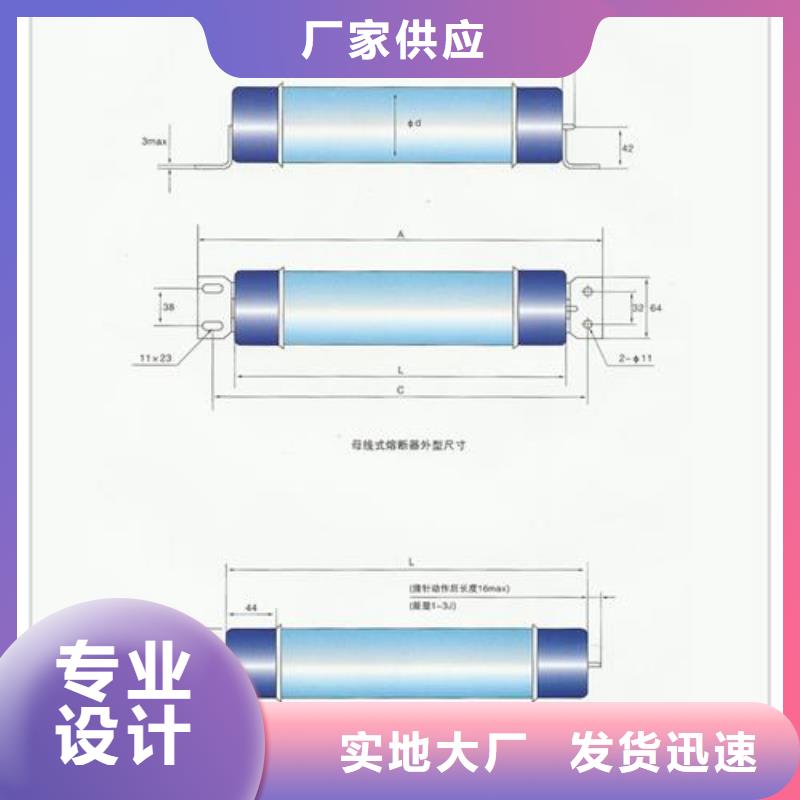 供應(yīng)限流熔斷器_廠家/供應(yīng)