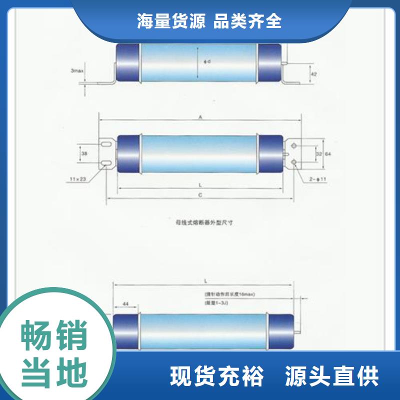 實力雄厚的限流熔斷器加工廠家