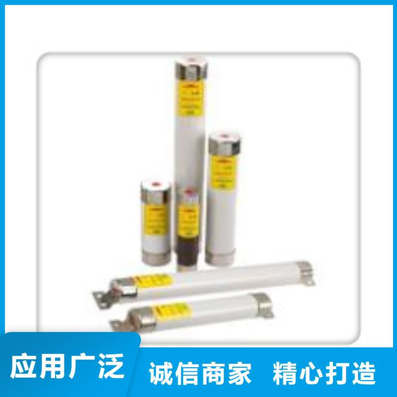 質優價廉的限流熔斷器廠家