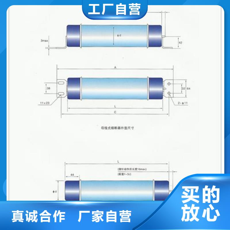 為您提供限流熔斷器廠家
