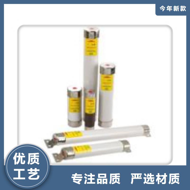 專業銷售限流熔斷器-品牌
