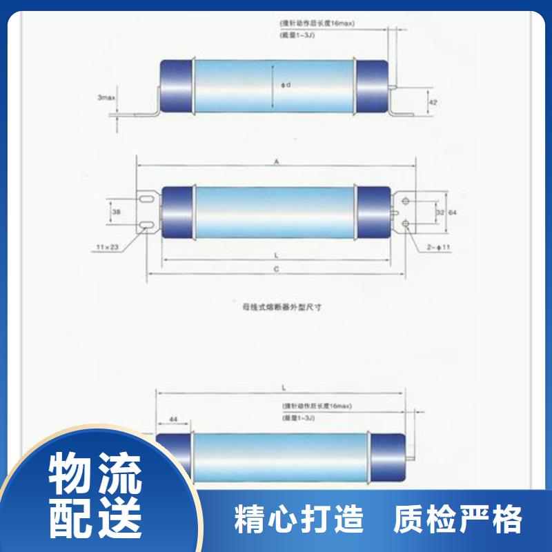 限流熔斷器廠家總部