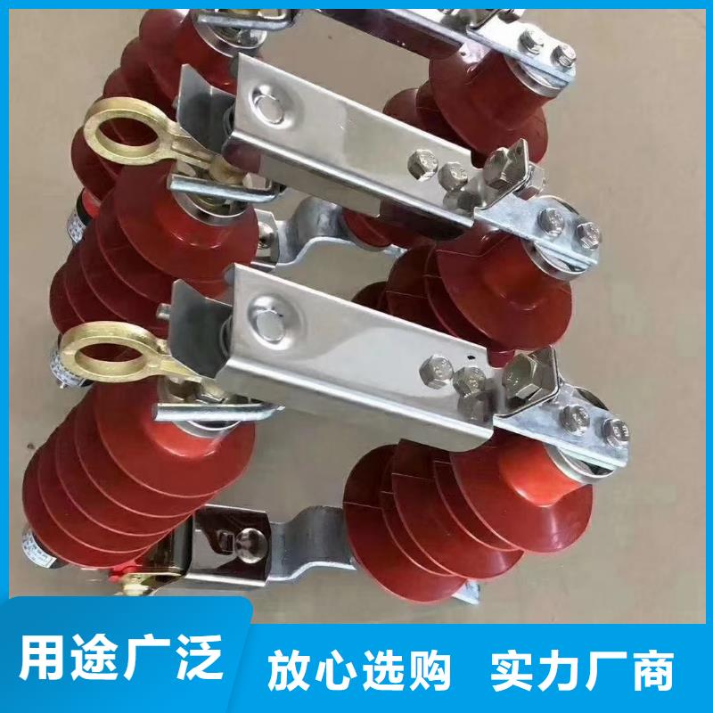 浙江买HBLQ-17/5017/50KV肘型避雷器樊高电气